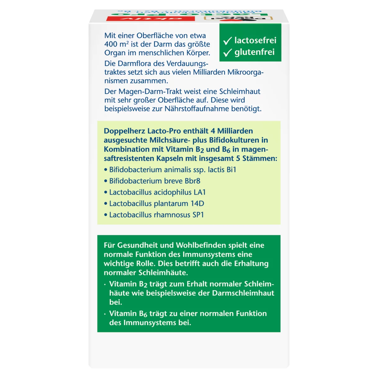 Abbildung der Produktverpackung Doppelherz aktiv Lacto-Pro Rückansicht